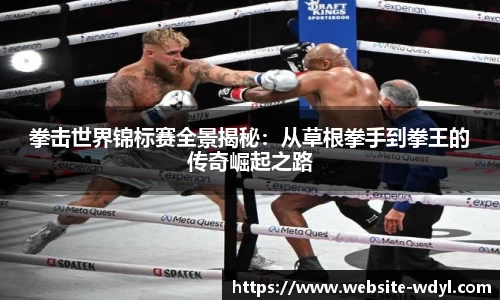 拳击世界锦标赛全景揭秘：从草根拳手到拳王的传奇崛起之路